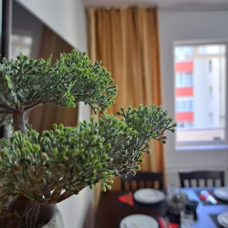 Aviliz Apartament Buşteni Exteriér fotografie