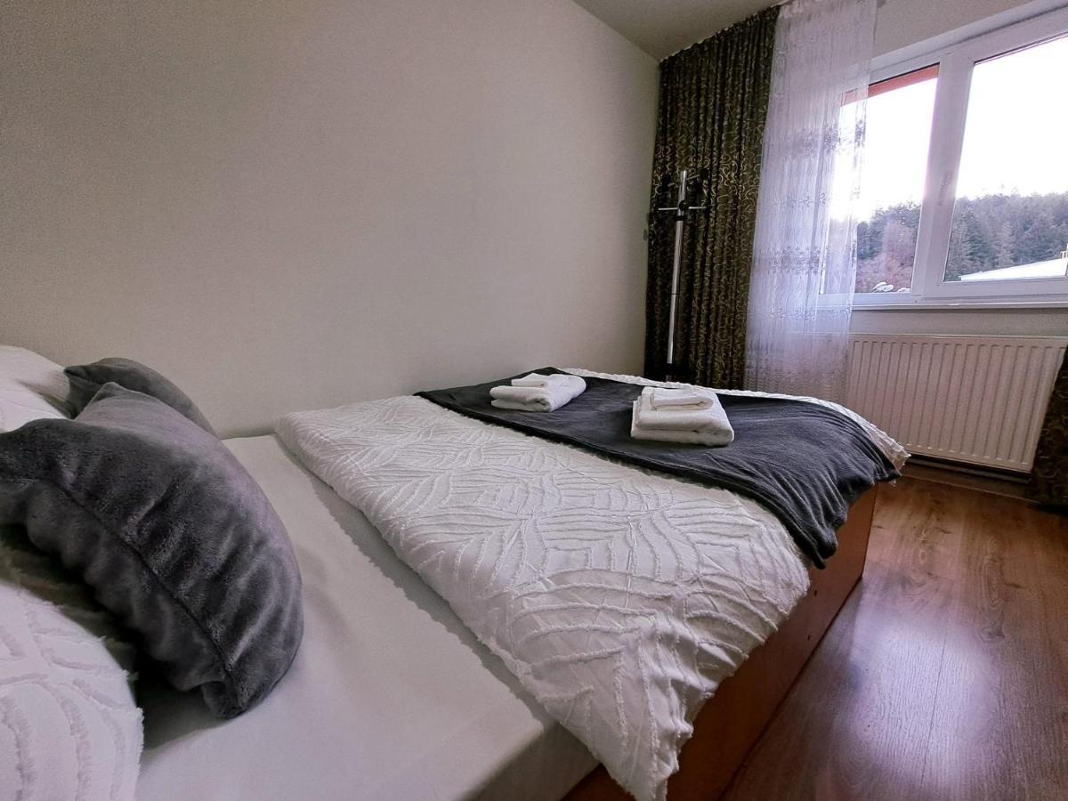 Aviliz Apartament Buşteni Exteriér fotografie