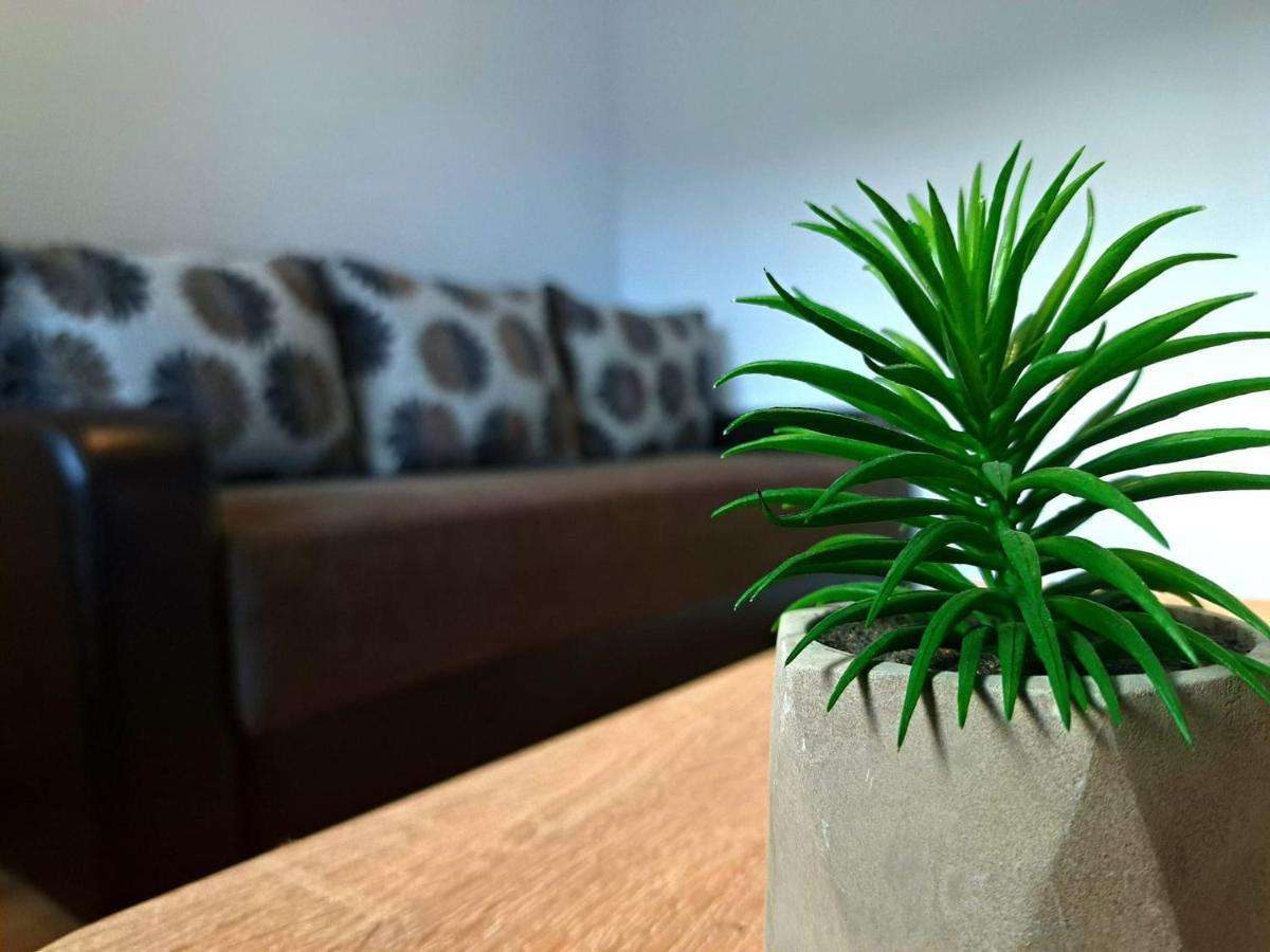 Aviliz Apartament Buşteni Exteriér fotografie