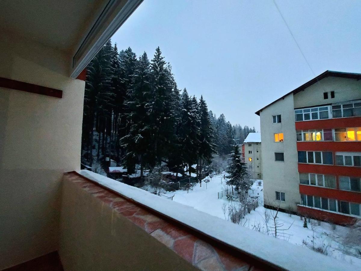 Aviliz Apartament Buşteni Exteriér fotografie