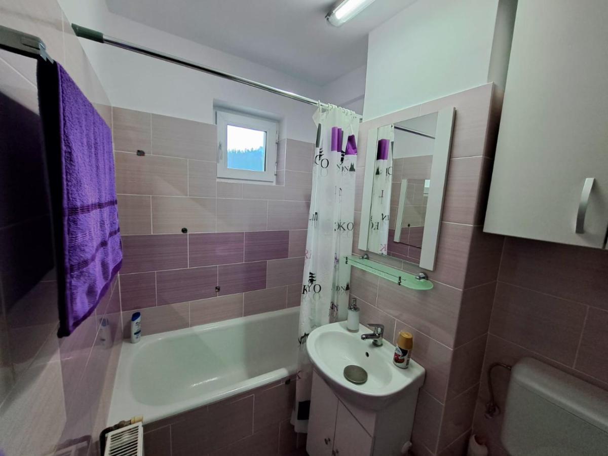 Aviliz Apartament Buşteni Exteriér fotografie