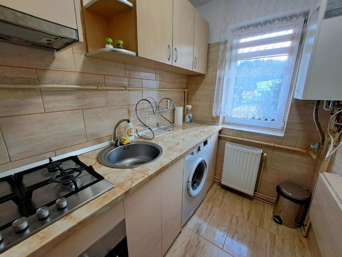 Aviliz Apartament Buşteni Exteriér fotografie