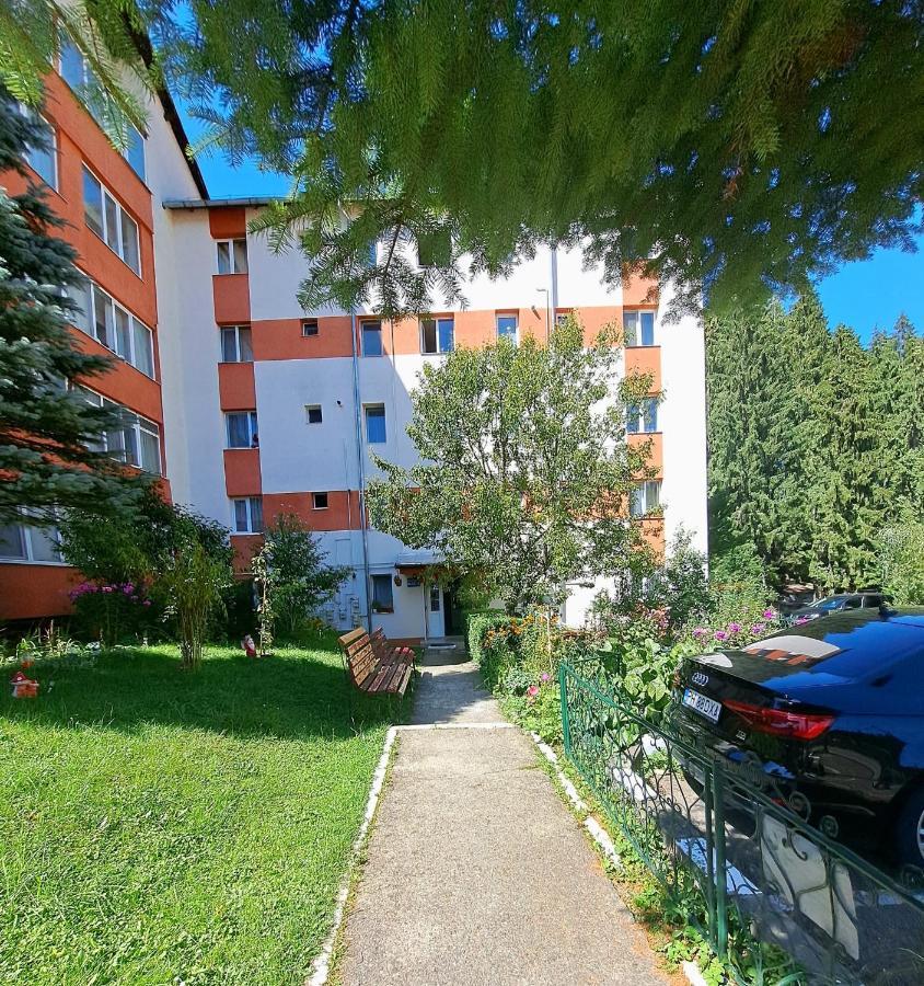 Aviliz Apartament Buşteni Exteriér fotografie