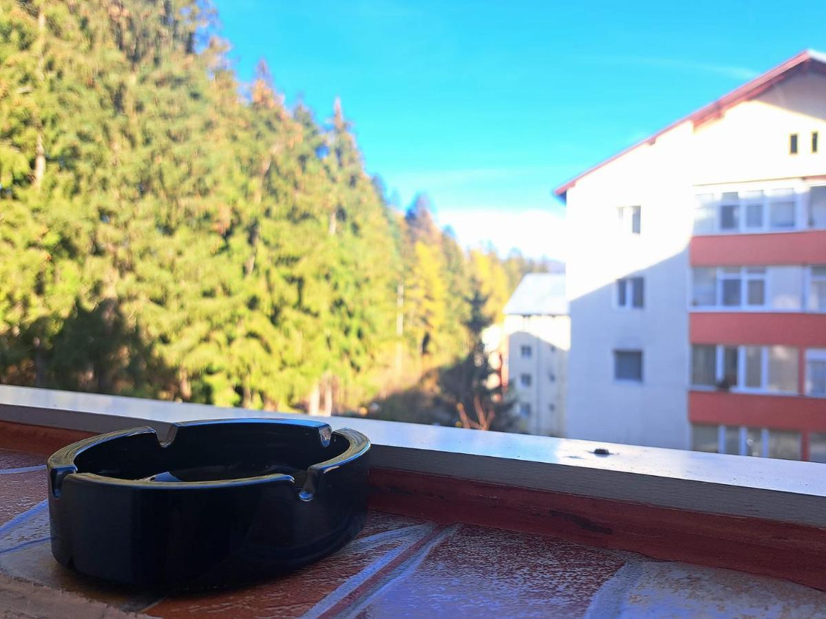 Aviliz Apartament Buşteni Exteriér fotografie
