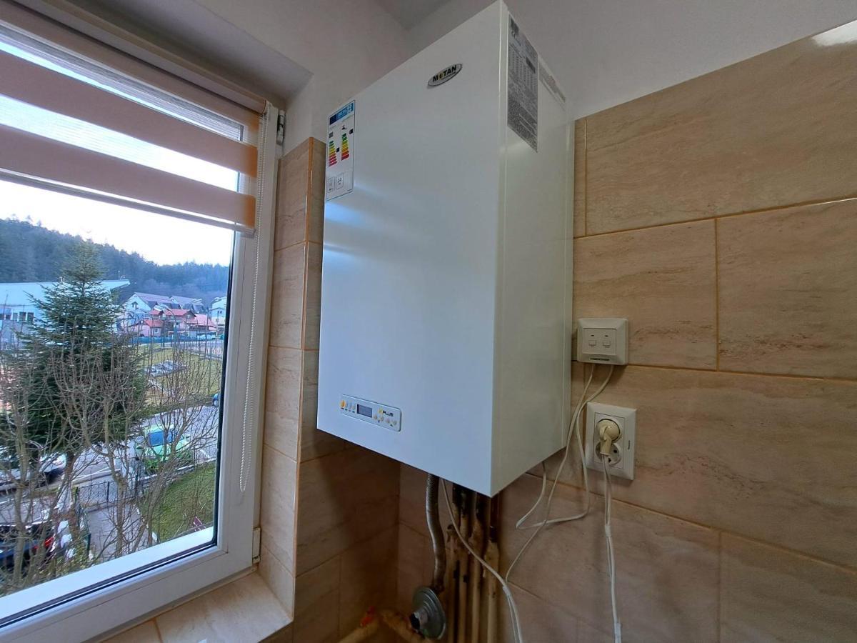 Aviliz Apartament Buşteni Exteriér fotografie
