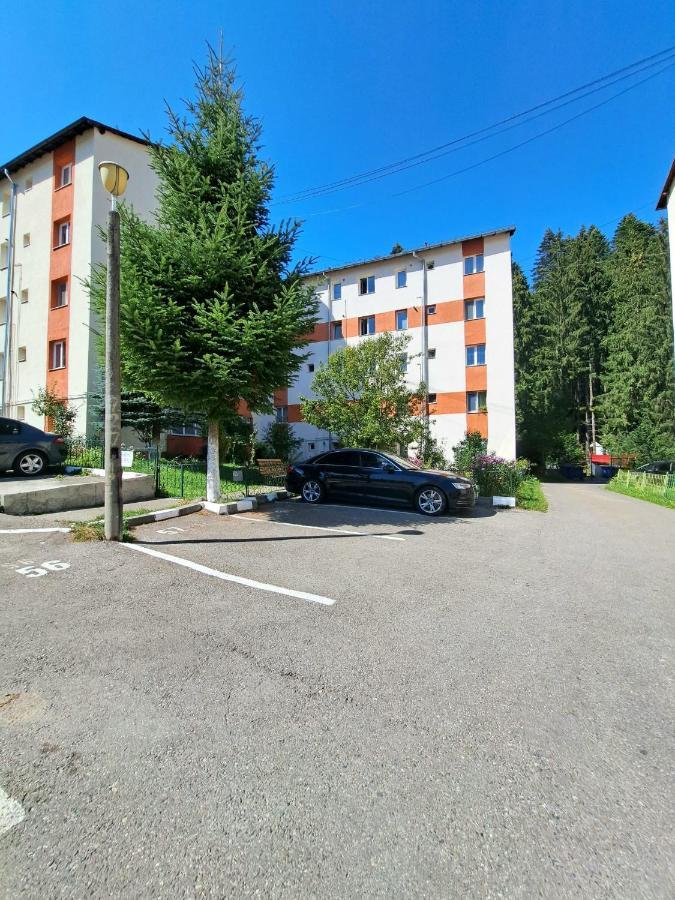Aviliz Apartament Buşteni Exteriér fotografie