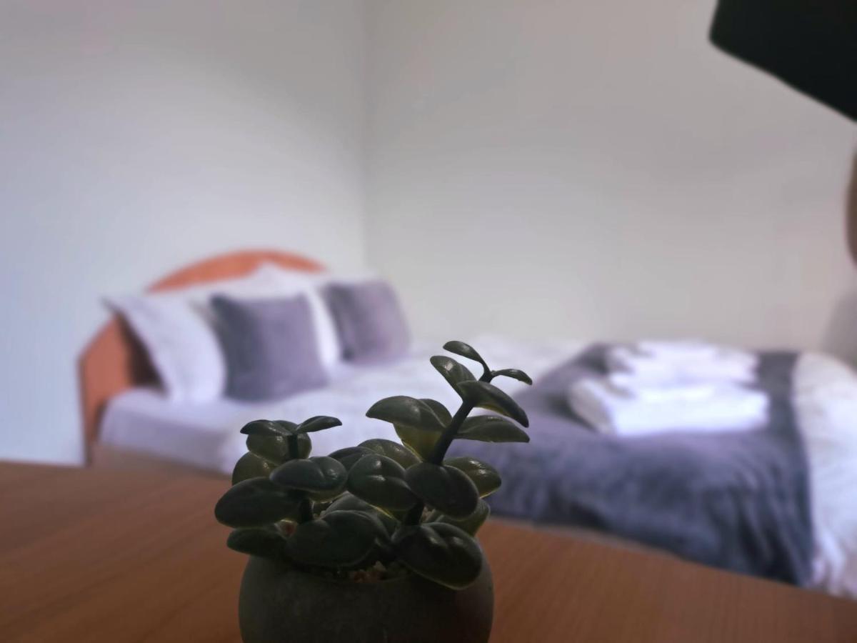 Aviliz Apartament Buşteni Exteriér fotografie